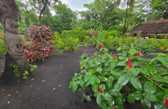 Glowing view tree house and Bangalow - Photo 11