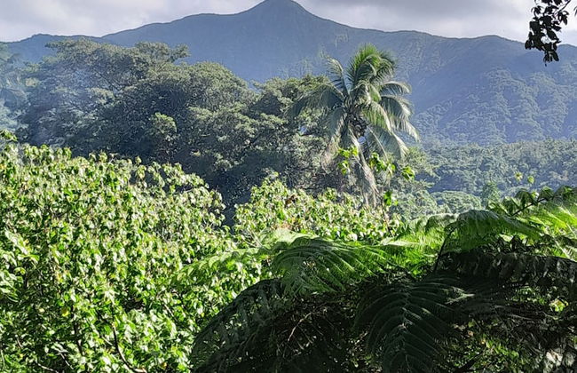 Glowing view tree house and Bangalow - Photo 42