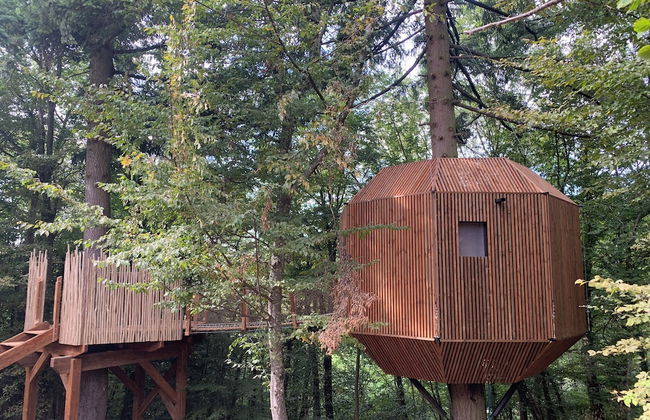 Domaine des Étoiles - Foto 2