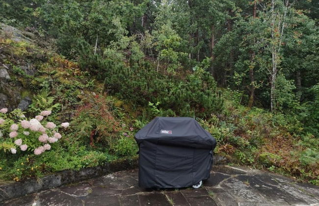 Edvard Munch's Sanctuary - Quiet, but not so far From Oslo - Foto 24
