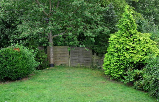 Garden-view Apartment in Heringhausen Lake City Centre - Foto 32