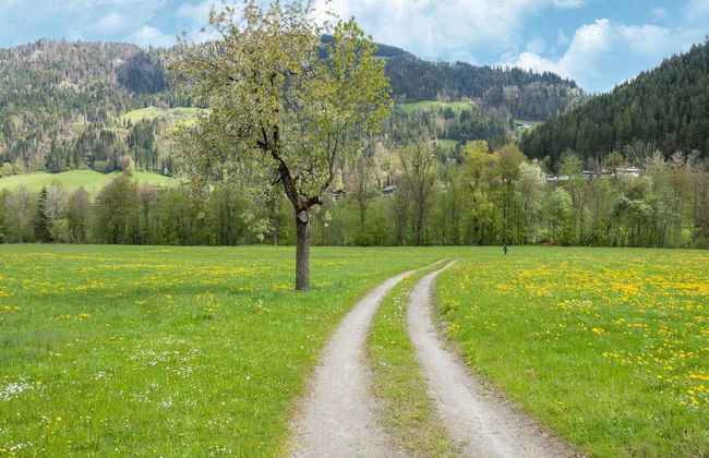 Property in Kirchbichl - Foto 70