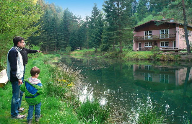 Apartment in a Charming Location on Forellenhof, Zorn Valley, Dabo - Photo 46