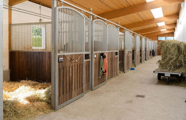 Cozy Holiday Home on a Horse Farm in the Luneburg Heath - Foto 50