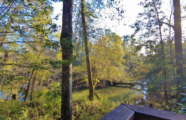 Little River Bluffs - Foto 61