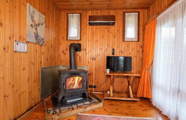 Botanik Gol Evleri - Foto 39