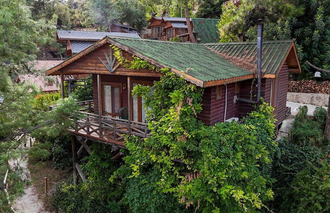 Botanik Gol Evleri - Foto 37