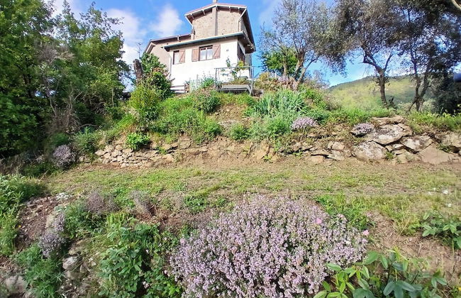 Nature's Rustico - Quiet Location - Picturesque - Foto 36