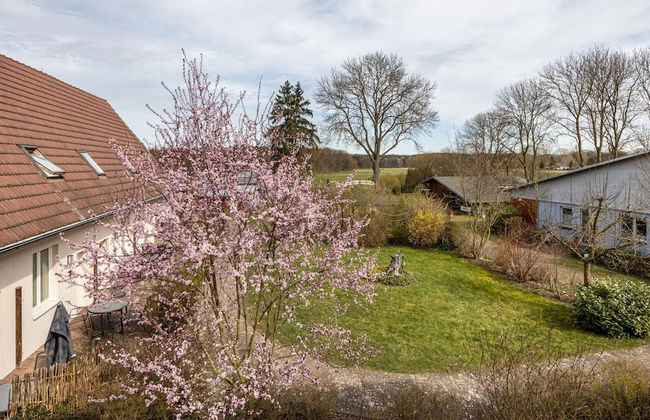 Studio in Buchholz am Mueritzsee - Foto 28