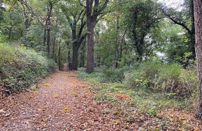 Ferienwohnungen, Malchow - Foto 39