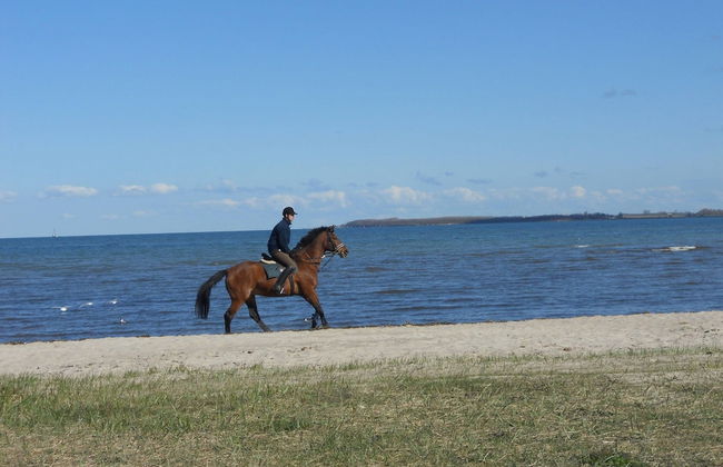 Apartment in Pepelow Near Baltic Sea Beach - Foto 38