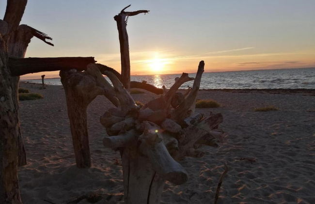 Modern Apartment in Elmenhorst Near Sea - Foto 72