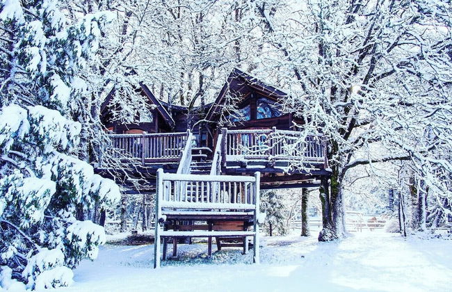 Out 'N' About Treehouse Treesort - Foto 22