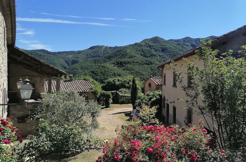 Photo 29 - Holiday Home in San Godenzo With Garden