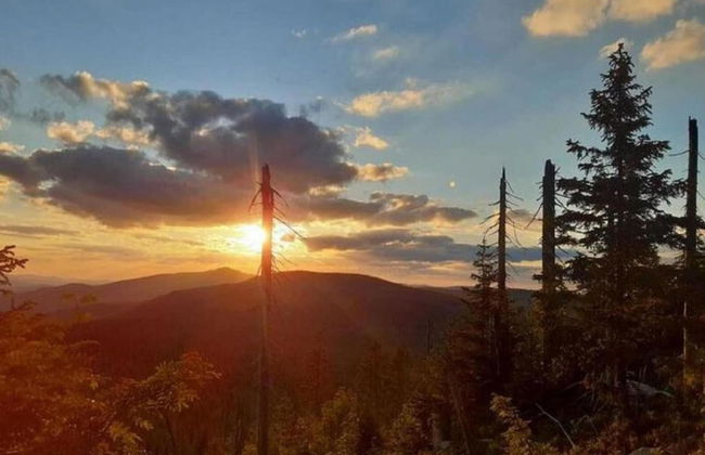 Welcoming Chalet Near Forest in Rohrnbach - Foto 71