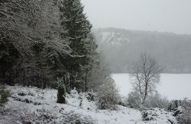 Cozy Escape in Bohon - Photo 33