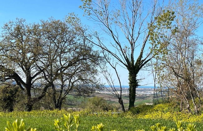 Tranquil Retreat With Valley Views - Foto 29