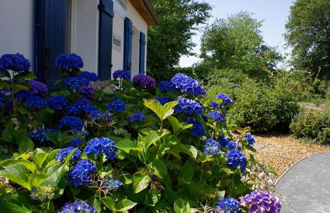Spacious Villa With Garden and Pool - Photo 38
