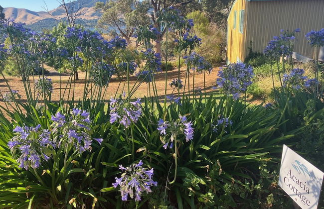 Burnt Creek Cottages Mansfield - Foto 62