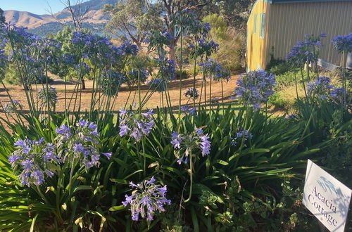 Foto 62 - Burnt Creek Cottages Mansfield