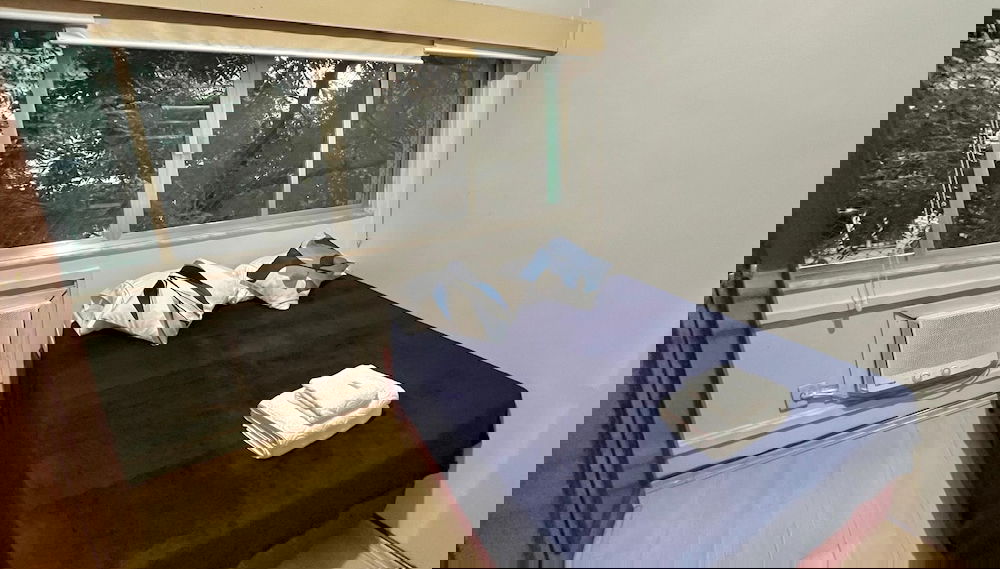 Imagem principal