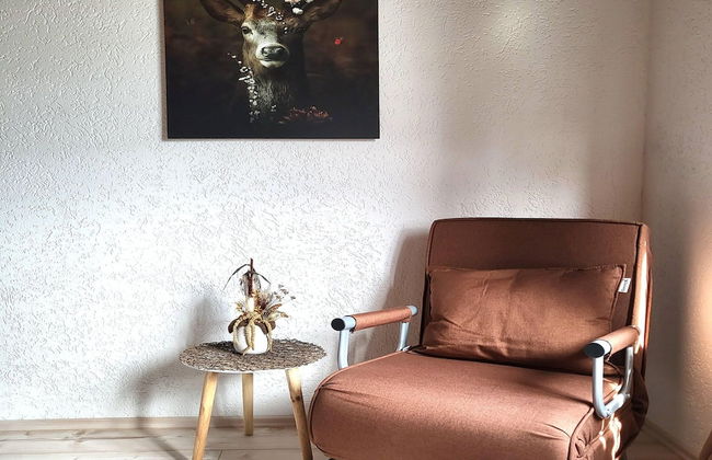 Regal Apartment in Pracht With Garden and Grill - Photo 5