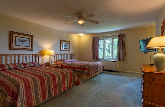 4 Seasons at Beech Mountain - Foto 16