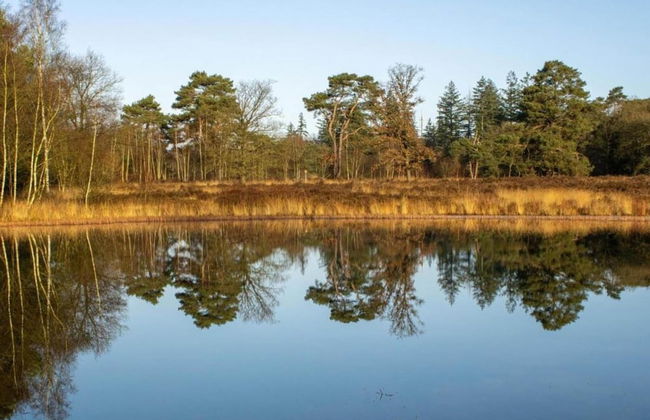 Bungalow met Omheinde Tuin op de Veluwe - Photo 40