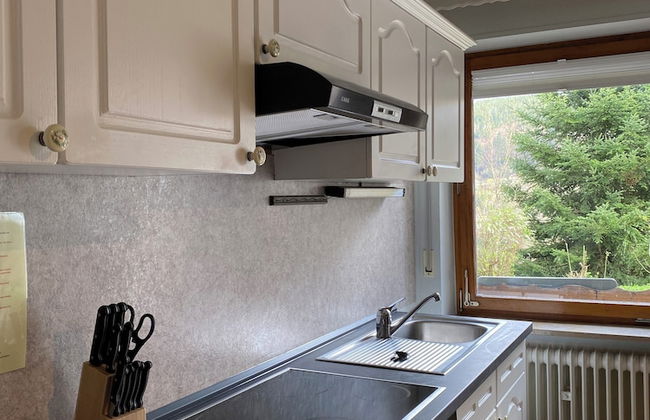 black forest apartments titisee - Foto 22