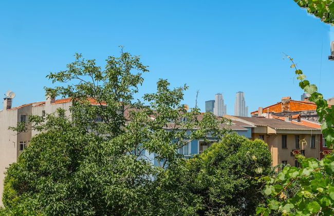 House w Garden 10 min to City s in Beyoglu - Foto 25