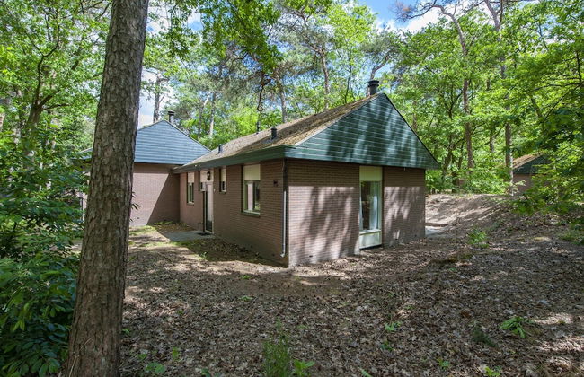 Bungalow in De Peel by Tranquil Forest - Foto 21