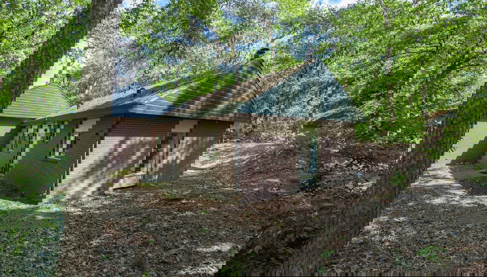 Primary image