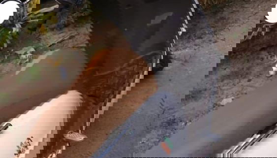 Verschiedenes
