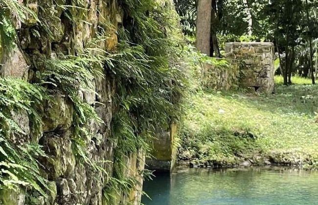 Seacret Studios - Cozy Jamaican Retreat Apts by RedAwning - Foto 18