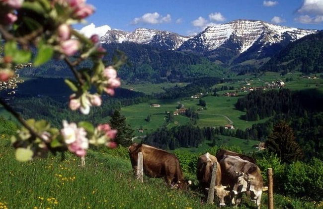 Holiday Apartment Alpenbrise, Oberstaufen - Foto 11