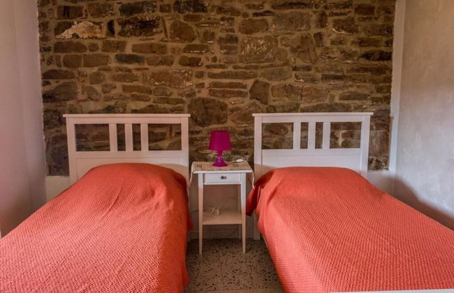 Casale I Cirillo: Primula & Iberide Florida - Foto 4