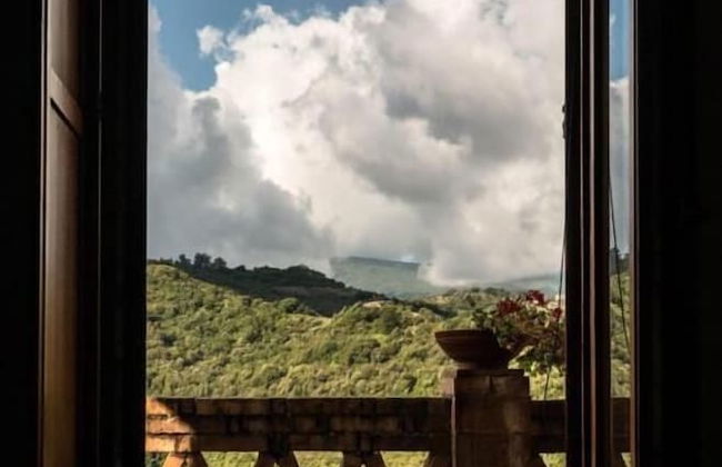 Casale I Cirillo: Primula & Iberide Florida - Foto 30