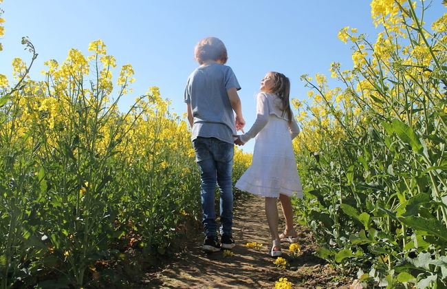 Cozy Apartment in Barnekow With Private Terrace - Foto 74