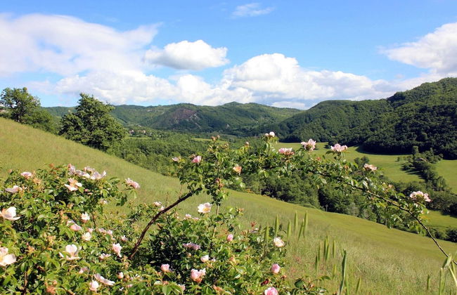 Apartment in Pennabili on Tuscan Border near Nature Park - Foto 22