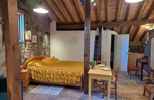 PITHARIA - Foto 22