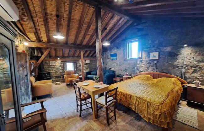 PITHARIA - Foto 23