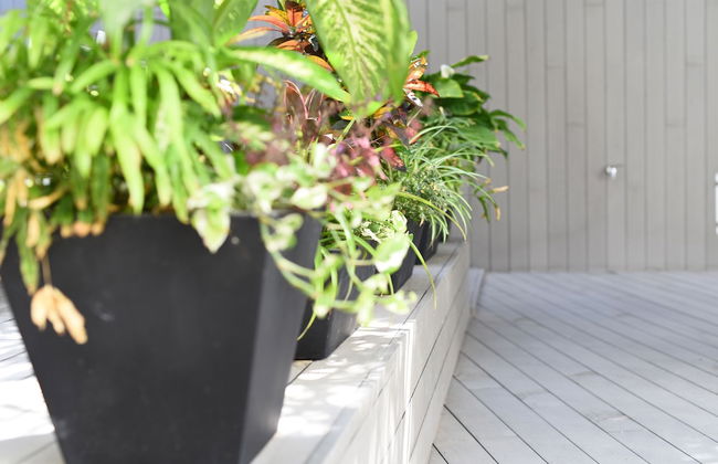 Calypso Boutique Apartments - Foto 38