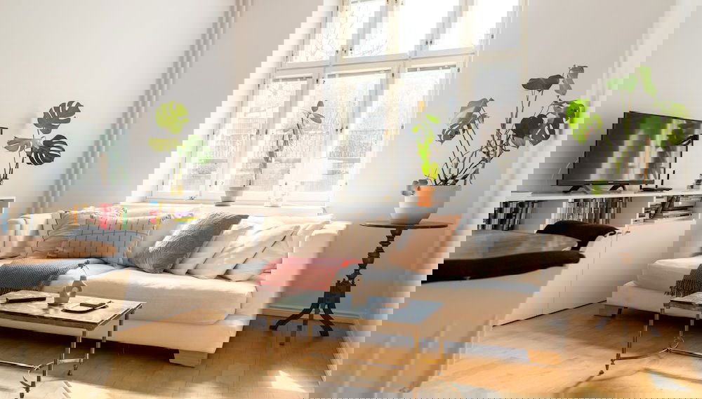 Primary image