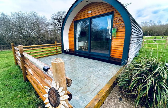 Beech Pod Cabin in Beautiful Surroundings Wrexham - Foto 28