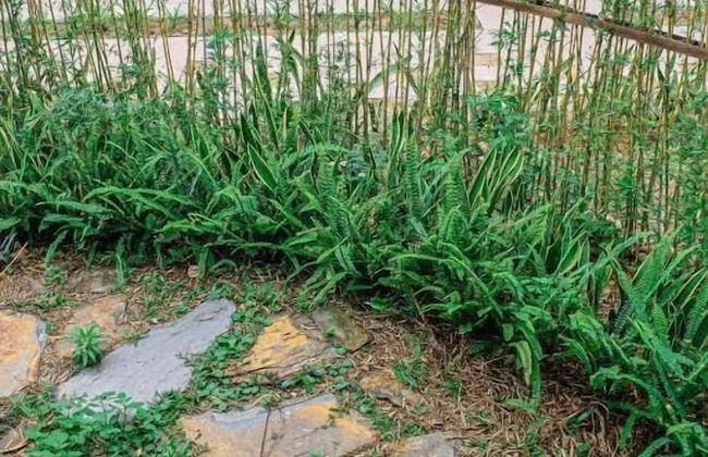 Dau Rong Resort - Foto 20