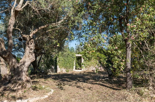 Foto 46 - Masseria Il Roseto ai Cappuccini - Casa Delle Farfalle