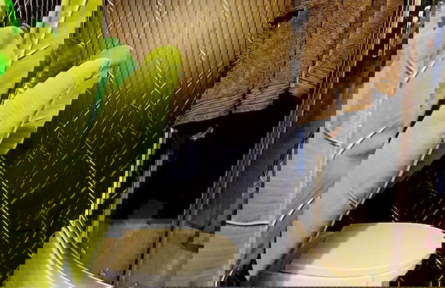 Cofy Rentals Tartu - Foto 75