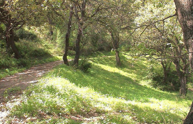 agriturismo borgo piazza - Foto 67