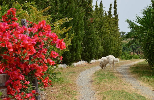 agriturismo borgo piazza - Foto 66