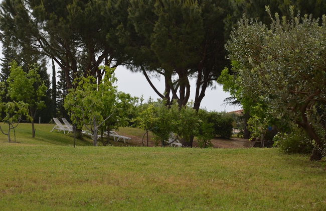 agriturismo borgo piazza - Foto 65